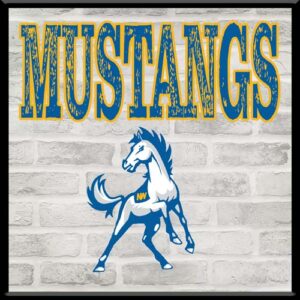 Mustangs