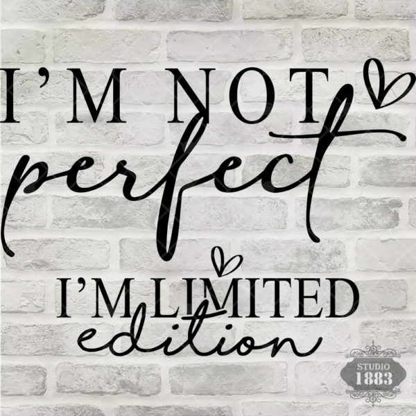 T402-Im not Perfect