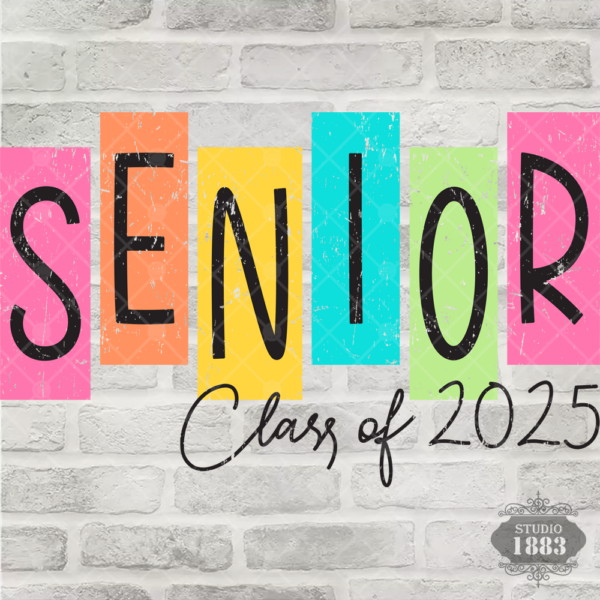 T491-Senior 2025 Blocks