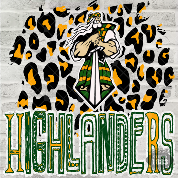 T516-Highlanders Cheetah